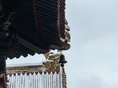 -雍和宫