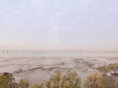 -宝安西湾红树林湿地公园