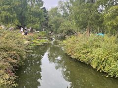 -上海滨江森林公园