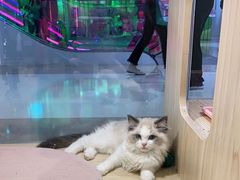 -KKV(深圳宏发大仟里店)