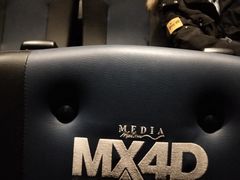 放映厅-英皇电影城(英皇集团中心IMAX店)