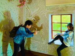 -金山农民画村-枫泾波兰倒置屋