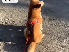-SUPERMONKEY超级猩猩健身(中山公园店)
