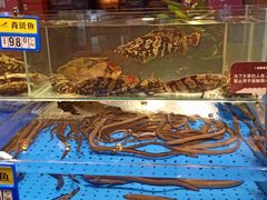 水产区-船歌·鱼水饺青岛菜(闽江二路店)