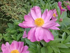 -木塔寺遗址生态公园