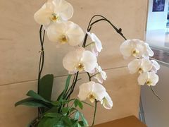 -北京西单美爵酒店