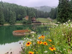 -武陵山森林公园