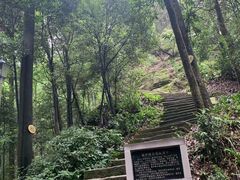 -缙云山景区