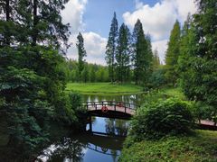 -黄海国家森林公园