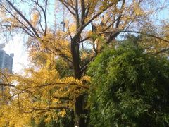 -四川大学(华西校区)