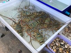 -拉威海鲜市场