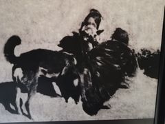 -沈阳“九·一八”历史博物馆