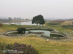 -空港花田景区