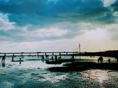 -南汇新城海滩