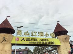 -美心红酒小镇游乐园