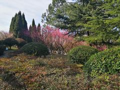 -白塘生态植物园