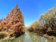 -昆山城市生态森林公园