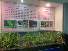 -上海昆虫博物馆