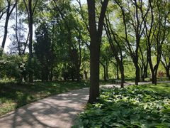 -玲珑塔公园