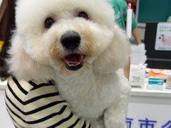 -心仪动物医院·牙专科·肿瘤·心脏科(西客站院)