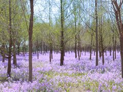 -瀛海足球主题公园