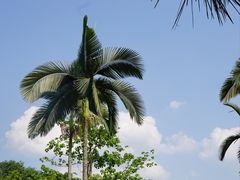 -西双版纳傣族园