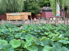 -钱王祠