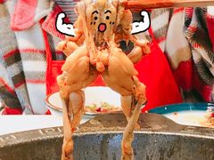 -大江美蛙鱼火锅(都江堰店)