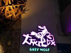 -大灰狼(中心书城店)