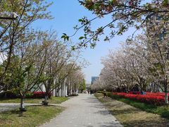 -新天地活力PARK