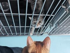 -狗舍宠物医院(四季商业广场店)