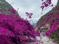 -大渡河峡谷国家地质公园