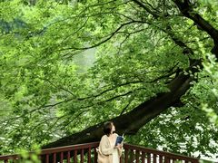 -荔湾湖公园