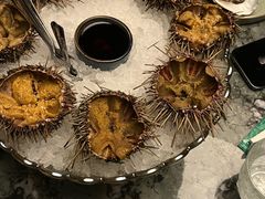 -普朗姆生蚝牛排馆 The Plump Oyster(成都摩方购物中心店)