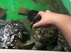 -常州海昌海洋探索馆