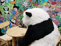 -轩客会(熊猫书店)