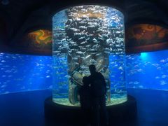 -波塞冬旅游度假区