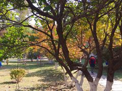 -辽宁大学(崇山校区)