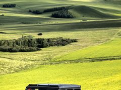 -莫尔道嘎国家森林公园