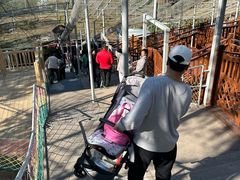 -西霞口神雕山野生动物世界