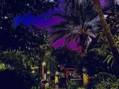 -金穗园温泉酒店