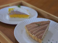 栗子挞-猫里有甜