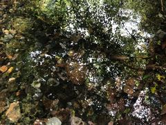 -夏霖九天银瀑风景区