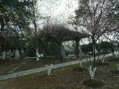 -白塘生态植物园