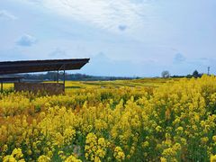 -三圣花乡旅游区