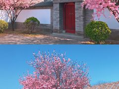 -颐和园