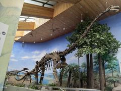 -延庆地质公园博物馆