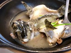 -ZF Seafood Restaurant 卓峰海鲜餐