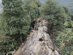 -南山植物园