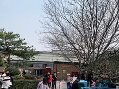 -有喜胶东小馆(太申祥和店)